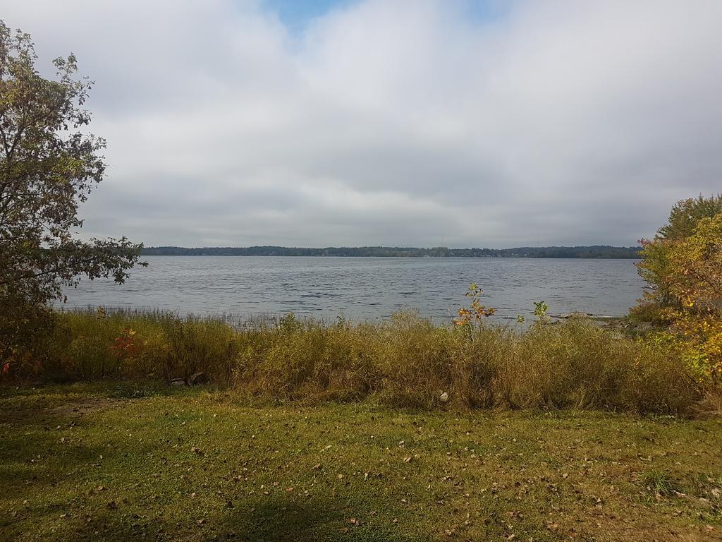 Stoco Lake Lodge Tweed Exteriör bild
